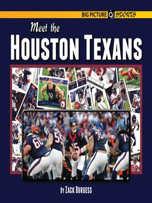 cover image of Meet the Houston Texans